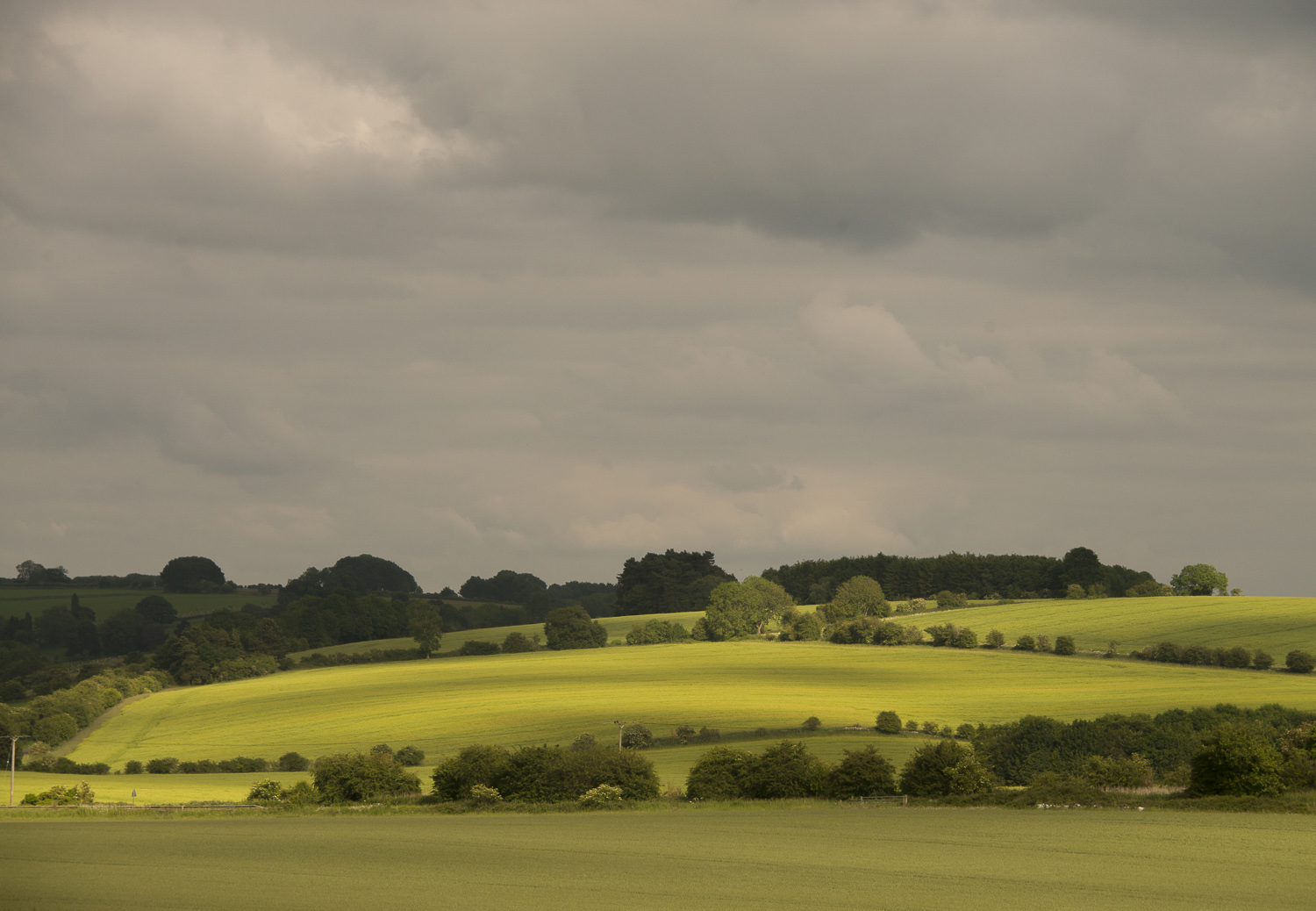 summer-fields-Gloucestershire-Jo-Kearney-photos-landscape-photography-video-landscapes.jpg