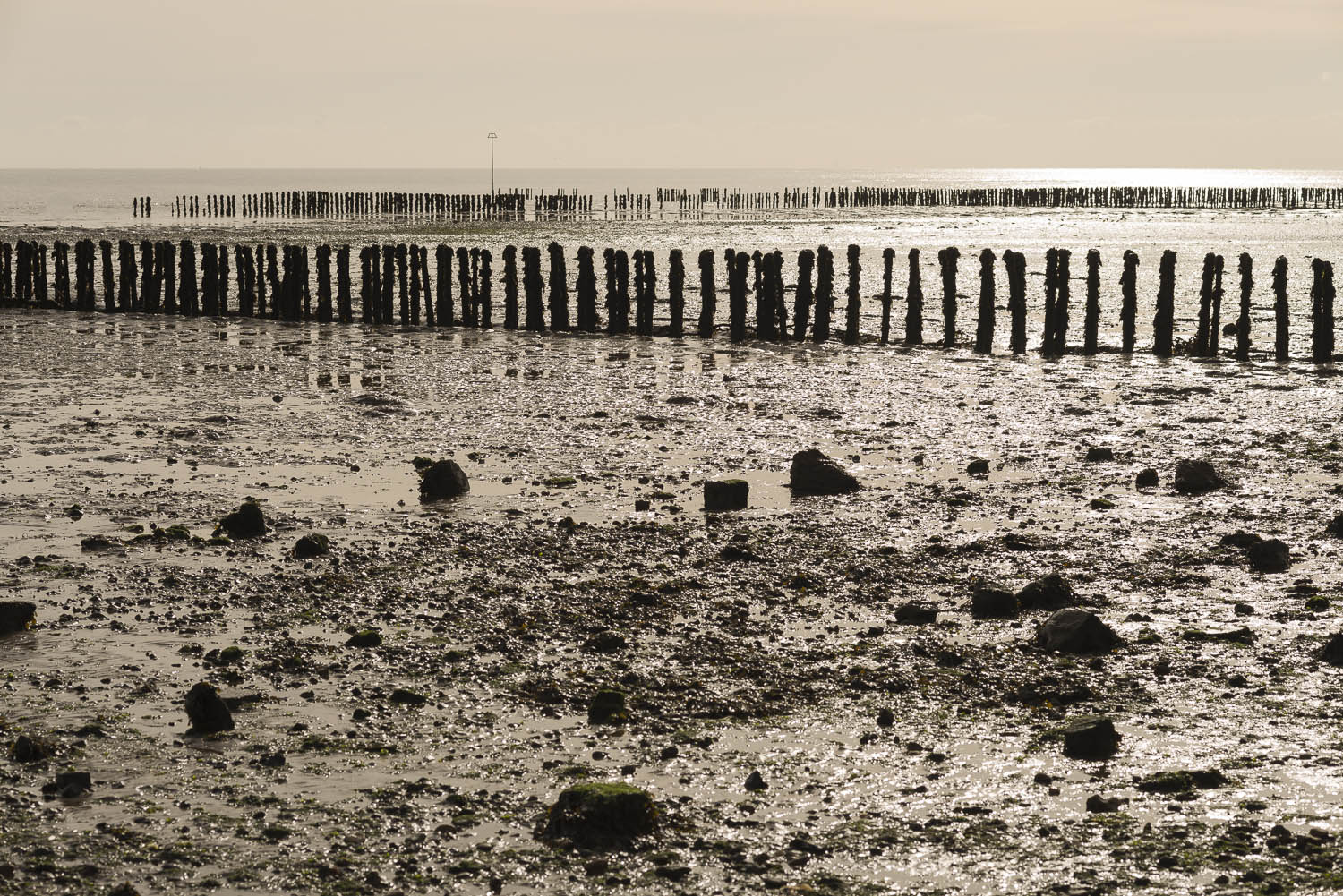 Mersea-Island-breakwater-low-tide-mud-Jo-Kearney-photos-landscape-photography-video-landscapes.jpg