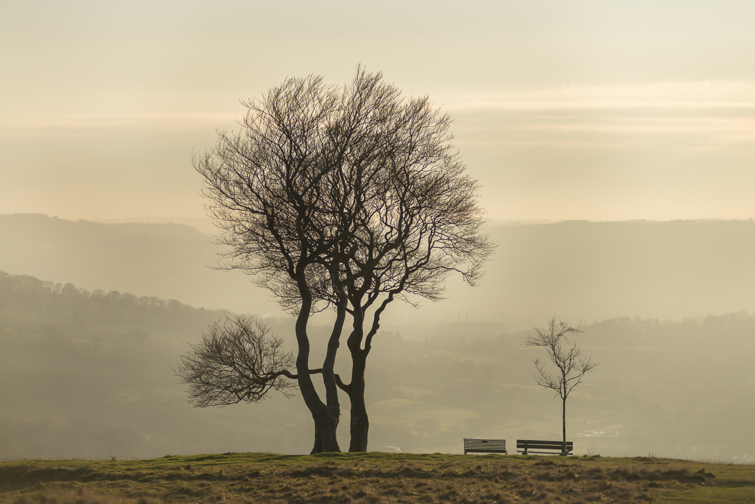 trees-Cleeve-Hill-winter-Gloucestershire-Jo-Kearney-photos-landscape-photography-video-landscapes.jpg