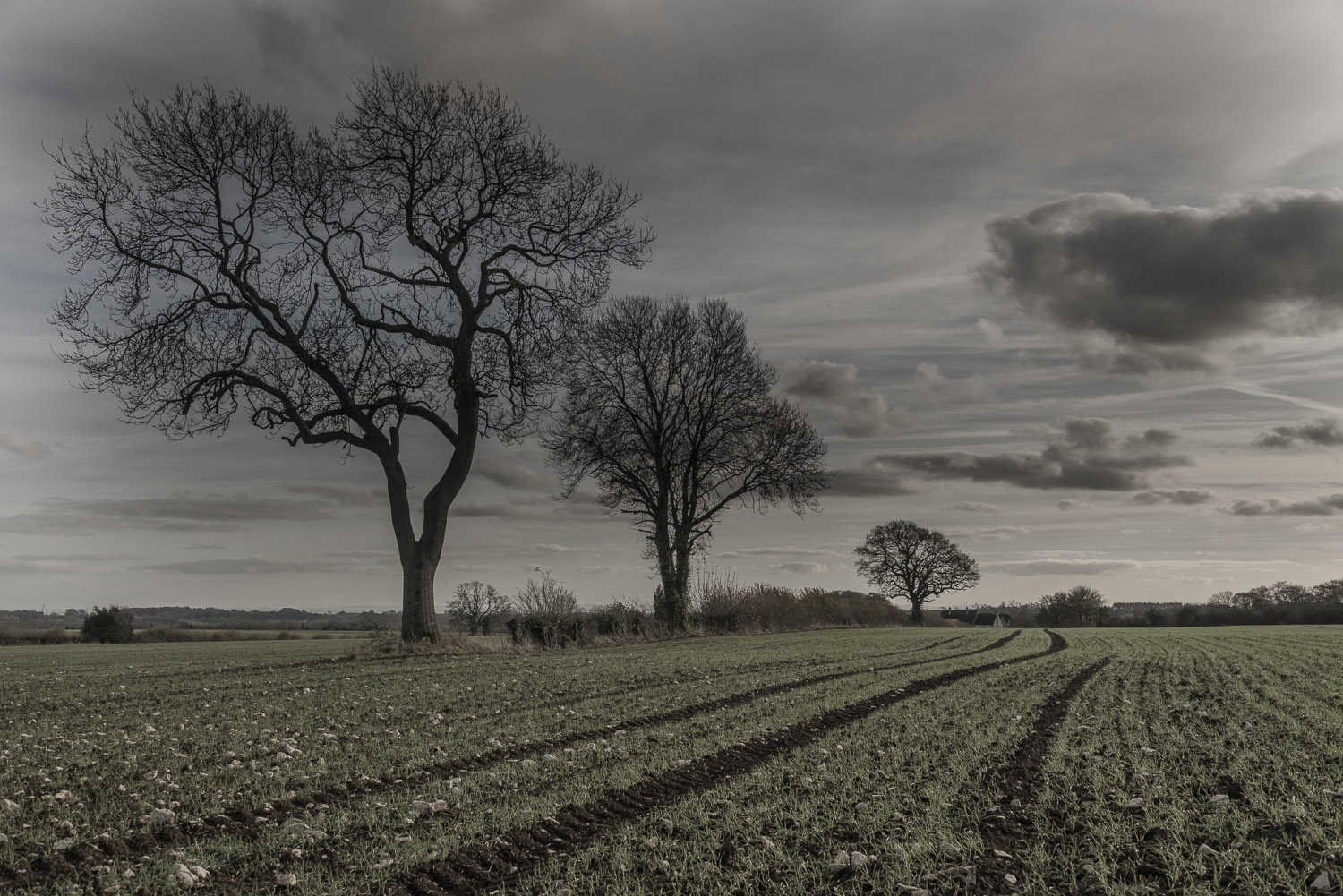 winter-fields-Gloucestershire-Jo-Kearney-photos-landscape-photography-video-landscapes.jpg