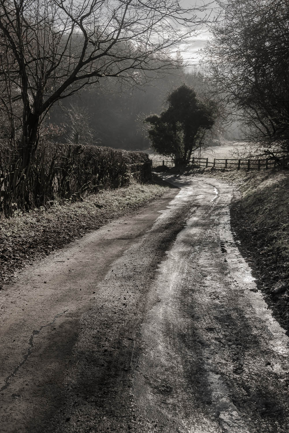 winter-Gloucestershire-Jo-Kearney-photos-landscape-photography-video-landscapes.jpg