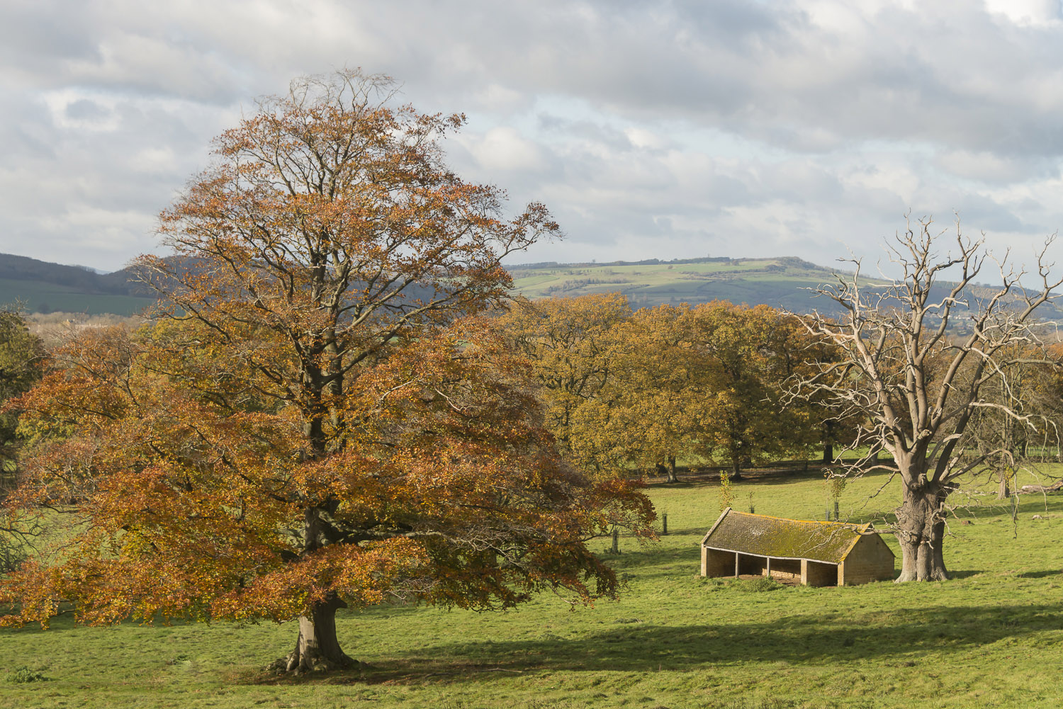 Autumn-Stanway-Gloucestershire-Cotswolds-Jo-Kearney-photos-landscape-photography-video-landscapes.jpg