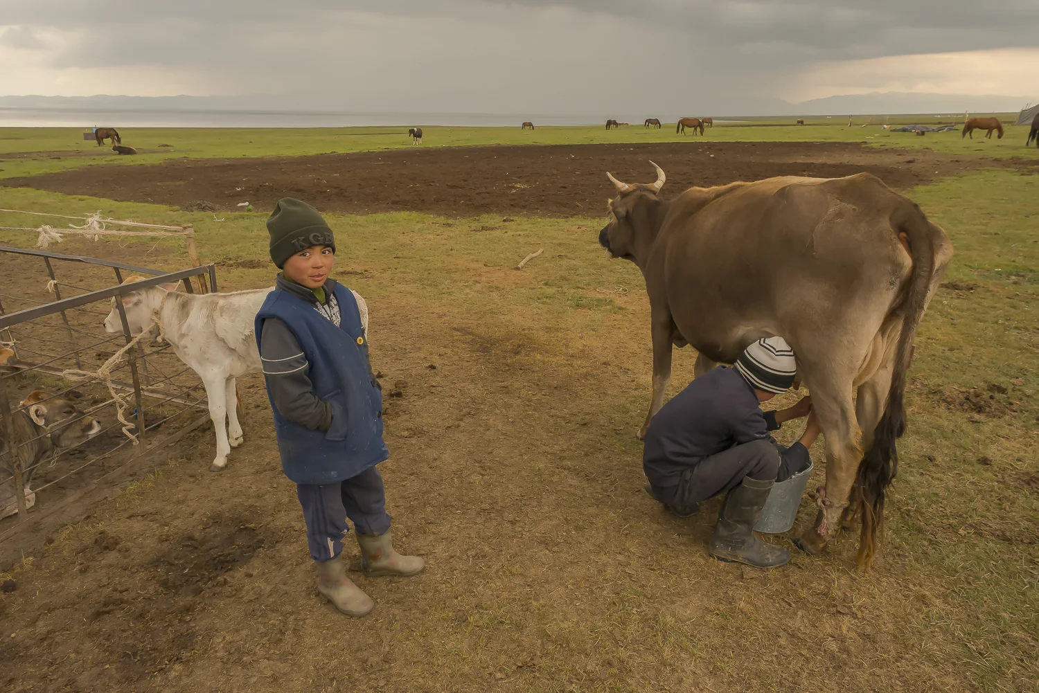 boy-milking-jo-kearney-photography-video-kyrgyzstan-nomads-milking-donkeys-photos-prints.jpg