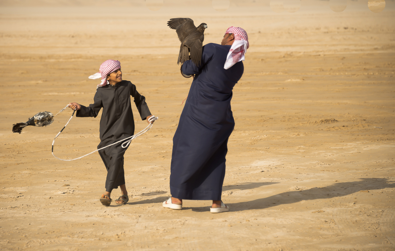 jo-kearney-video-photos-photography-travel-portraits-prints-for-sale-falconry-children-UAE-Dubai-desert-falconry-competition.jpg