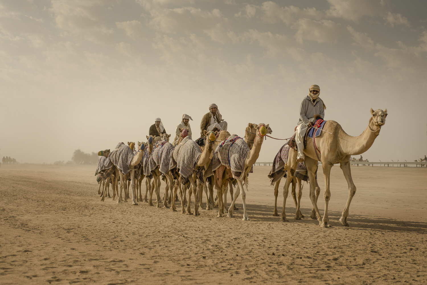 jo-kearney-video-photos-caravan-caravanphotography-travel-portraits-prints-for-sale-dubai-camels-camel-herder-dubai-UAE-desert-racing-camels-caravan.jpg
