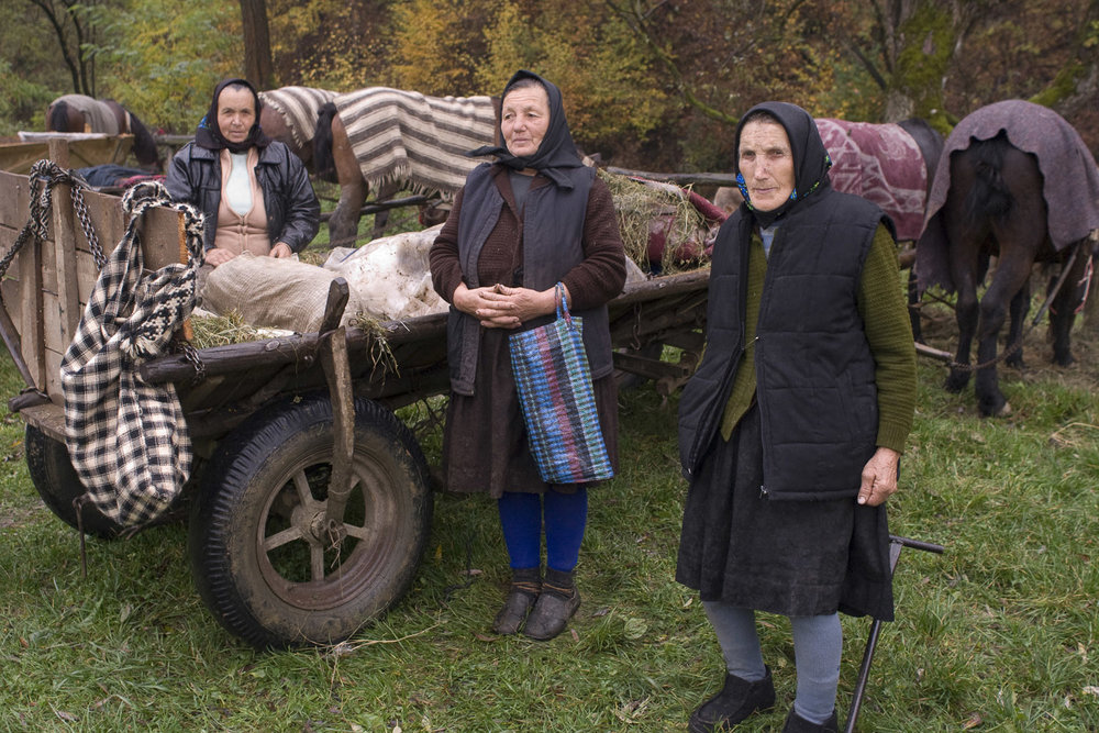 portrait-photography-portraits-life-coaching-business-portraits-jo-kearney-photography-video-cattle-market-Romania-Maramures-horseandcarts-pigs-market.jpg