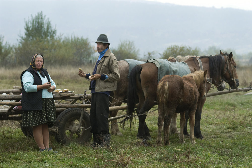 portraits-jo-kearney-photography-video-cattle-market-Romania-Maramures-horseandcarts-horse-and-carts-peasants.jpg