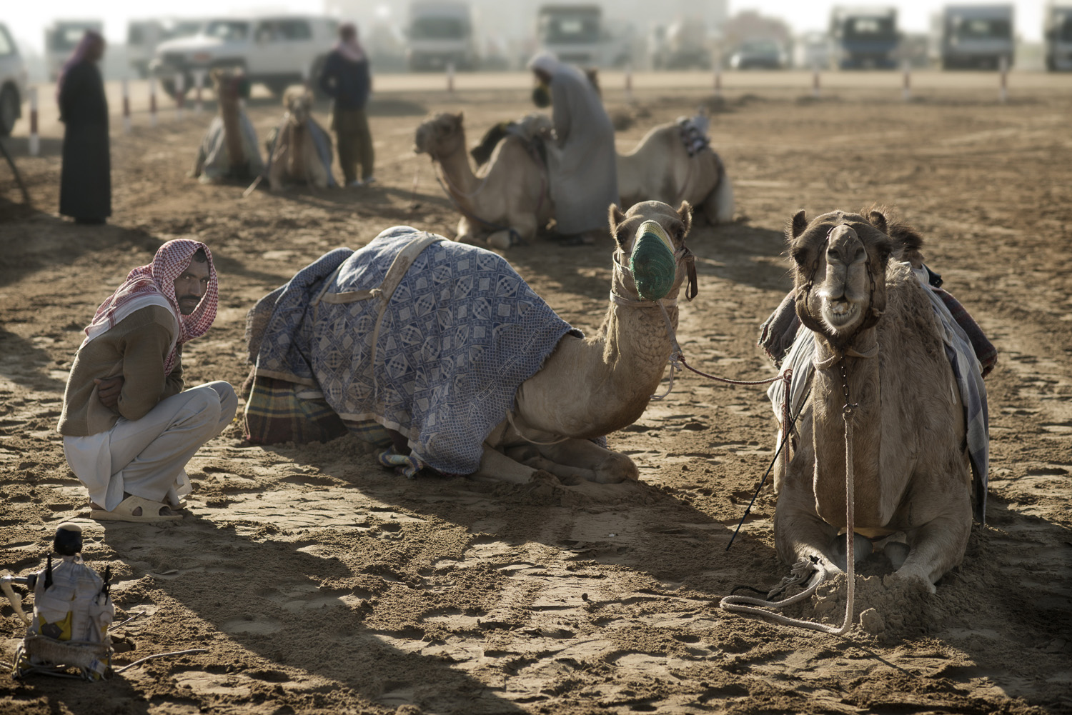 jo-kearney-photography-video-camels-desert-camel-herder-migrant-workers-uae-cold-desert-Dubai.jpg