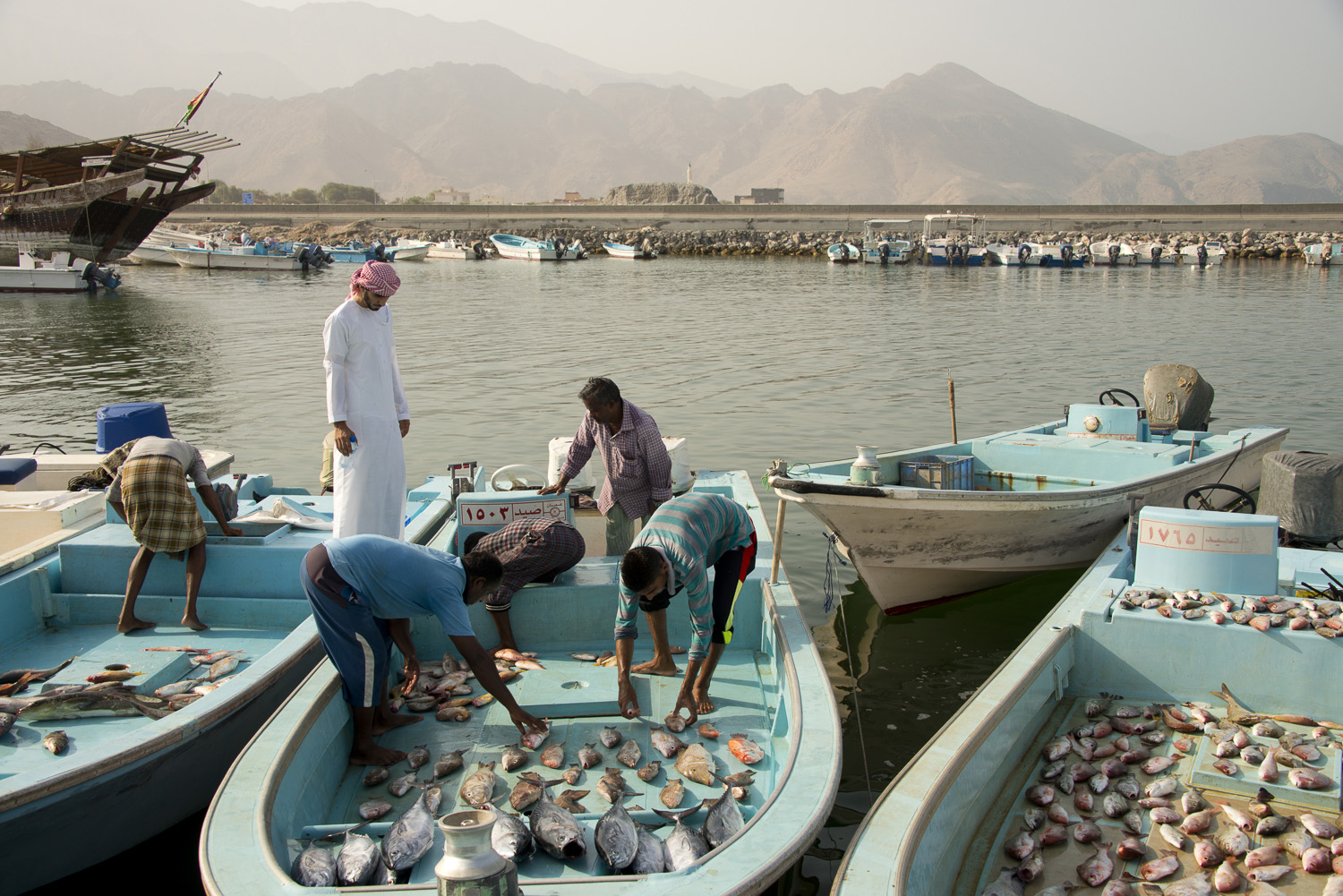 jo-kearney-video-photos-photography-travel-portraits-prints-for-sale-Oman-Dibba-fishing-port-traditional-port.jpg