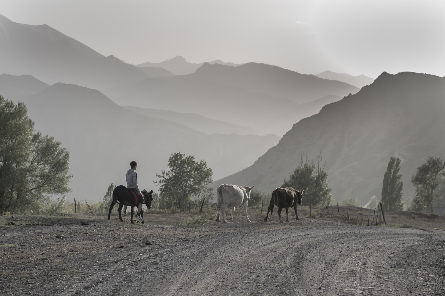 min-kush-soviet-uranium-mining-town-industrial-Russia-Kyrgyzstan-ruins-soviet-sign-jo-kearney-photos-video-photography-cows-boy-on-donkey.jpg