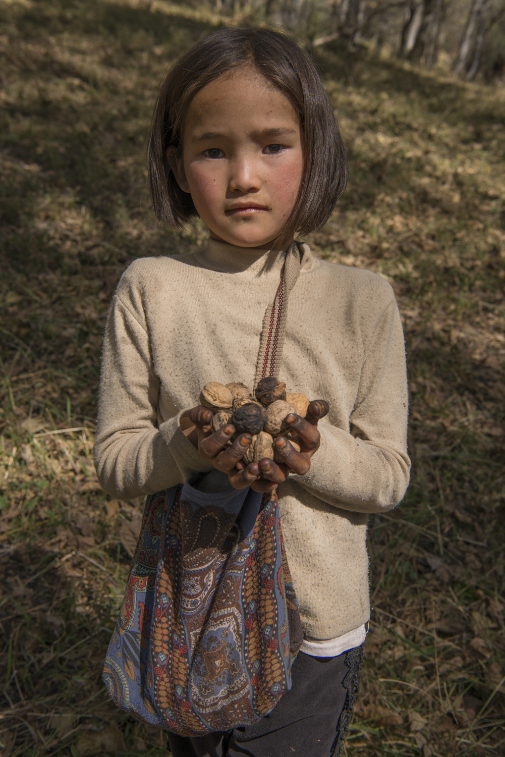 walnuts-picking-kyrgyzstan-child-arslanbob-soviet-union-russia-girl-picking-walnuts.jpg