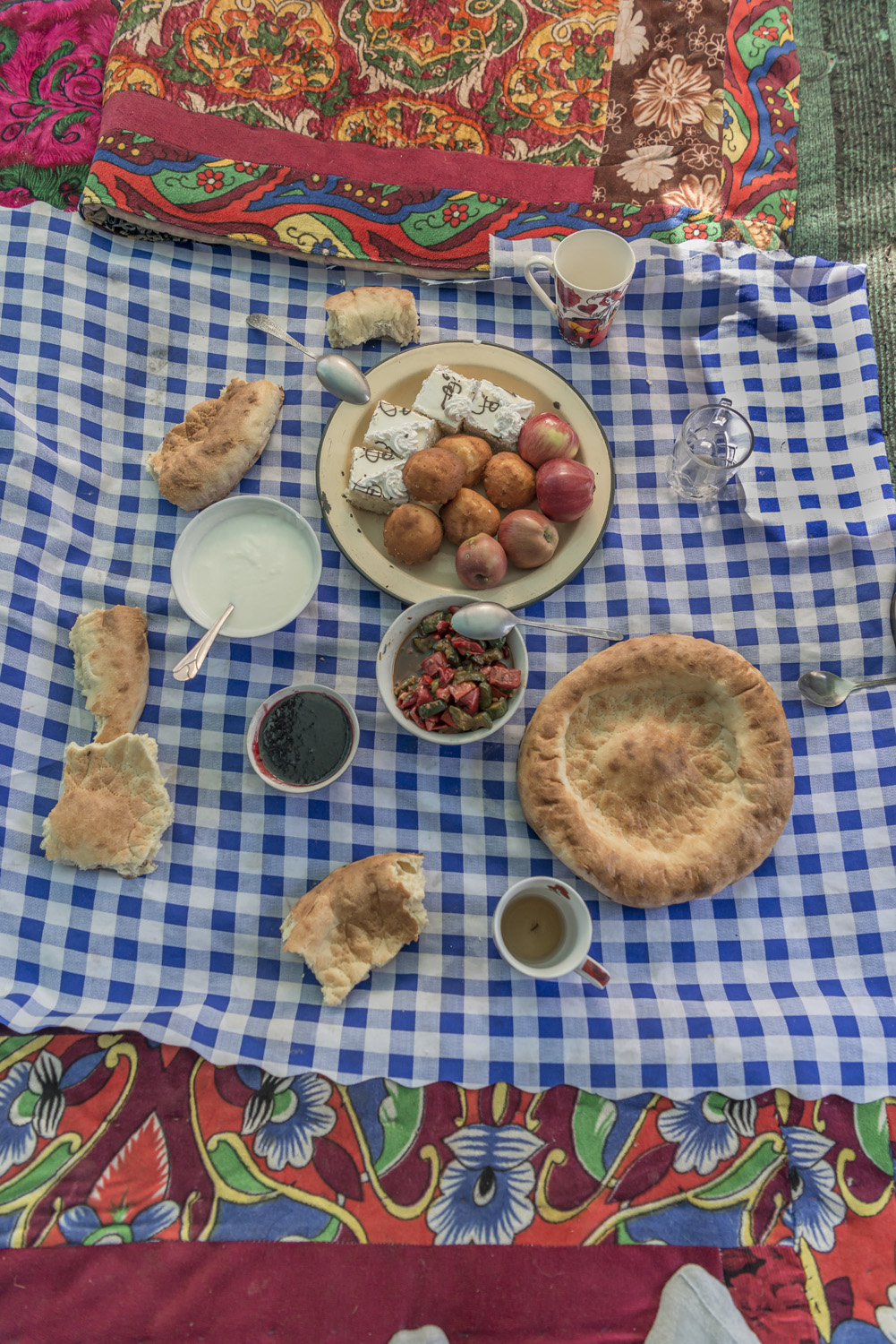 walnuts-picking-kyrgyzstan-child-arslanbob-soviet-union-russia-picnic-.jpg