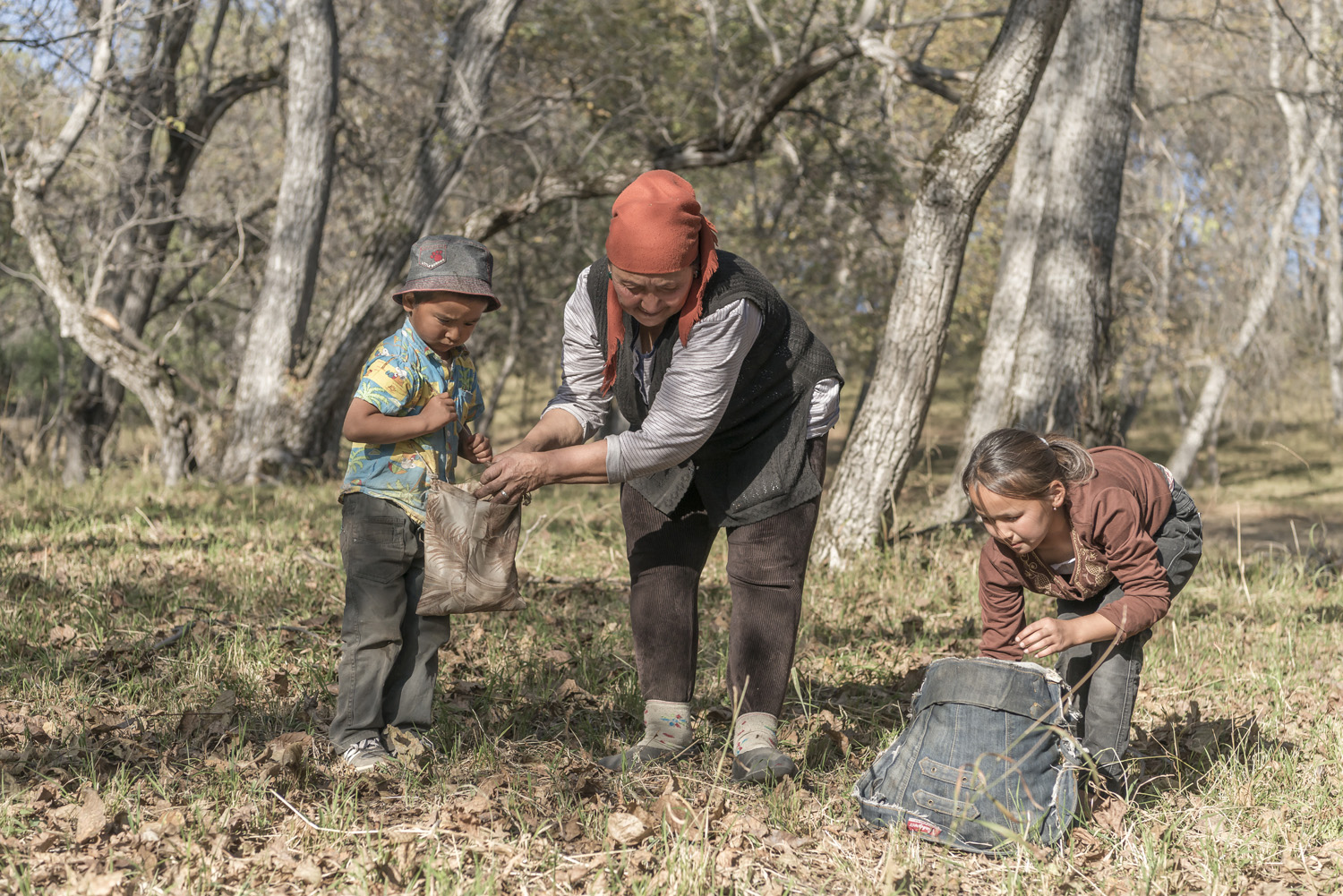 walnuts-picking-kyrgyzstan-child-arslanbob-soviet-union-russia-family-picking-walnuts.jpg