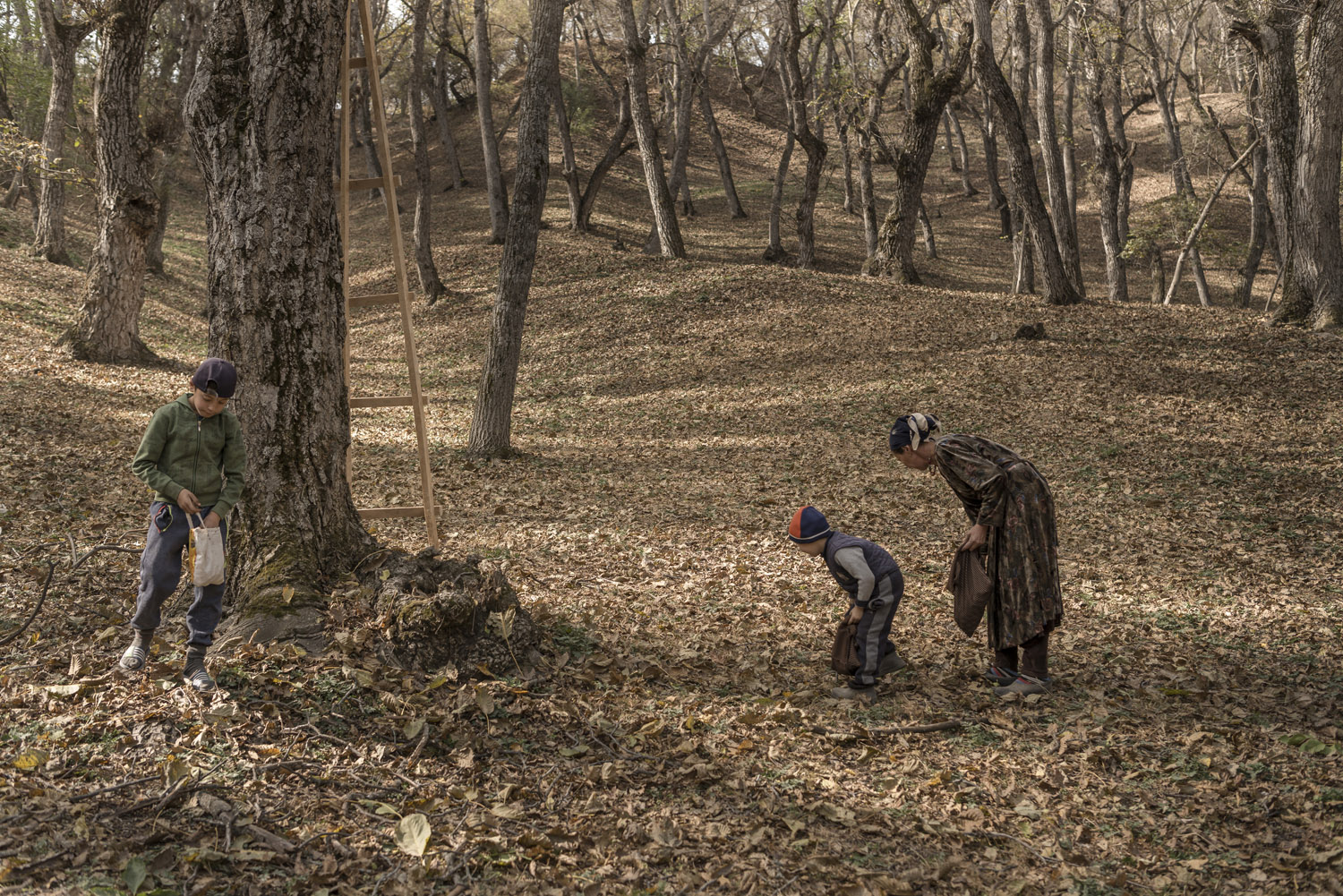 walnuts-picking-kyrgyzstan-child-arslanbob-soviet-union-russia-picnic-camping-family-picking.jpg