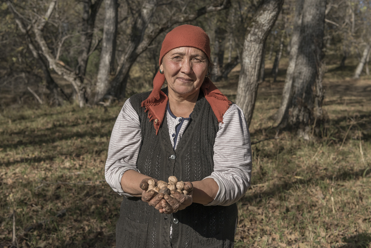 walnuts-picking-kyrgyzstan-child-arslanbob-soviet-union-russia-woman-handful-walnuts.jpg