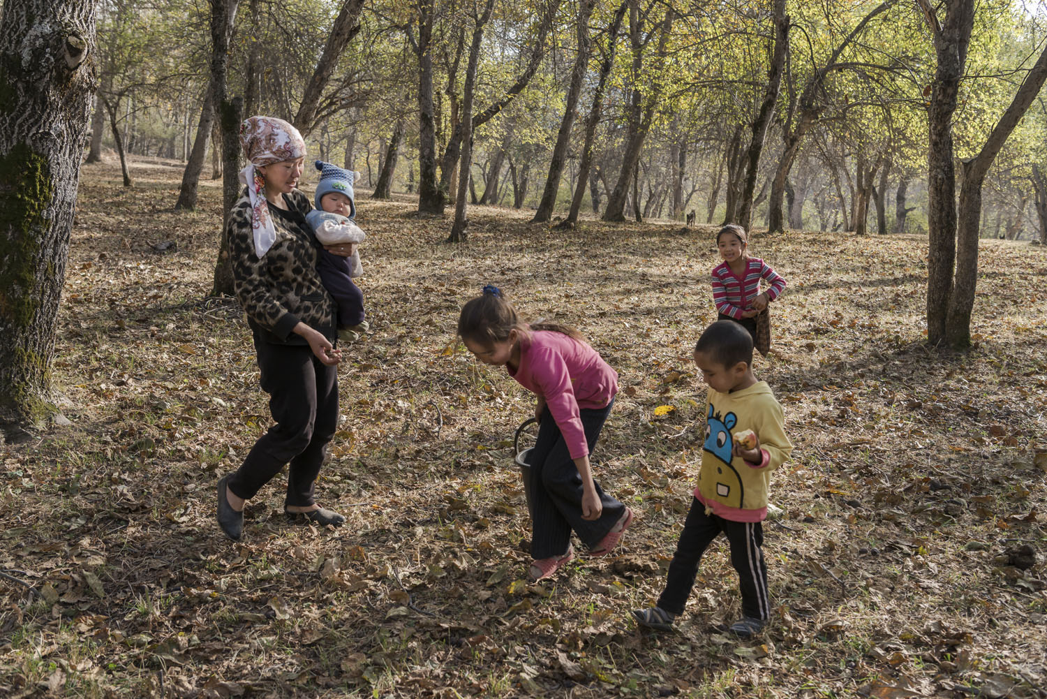 walnuts-picking-kyrgyzstan-child-arslanbob-soviet-union-russia-picnic-camping-family-picking-walnuts.jpg