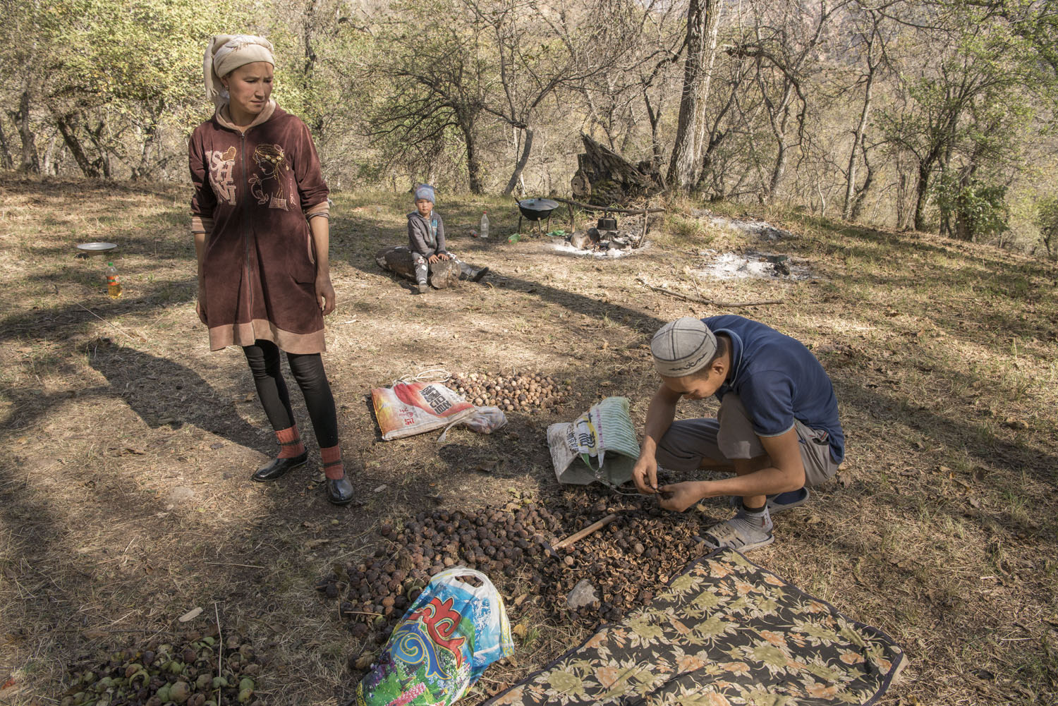 walnuts-picking-kyrgyzstan-child-arslanbob-soviet-union-russia.jpg