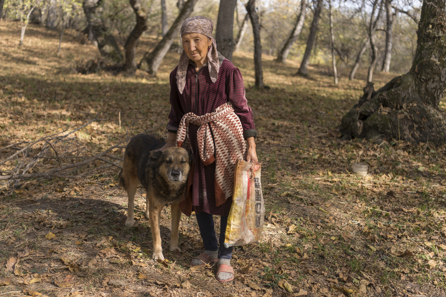 walnuts-picking-kyrgyzstan-child-arslanbob-soviet-union-russia-old-woman-forest-collectingh-walnuts.jpg