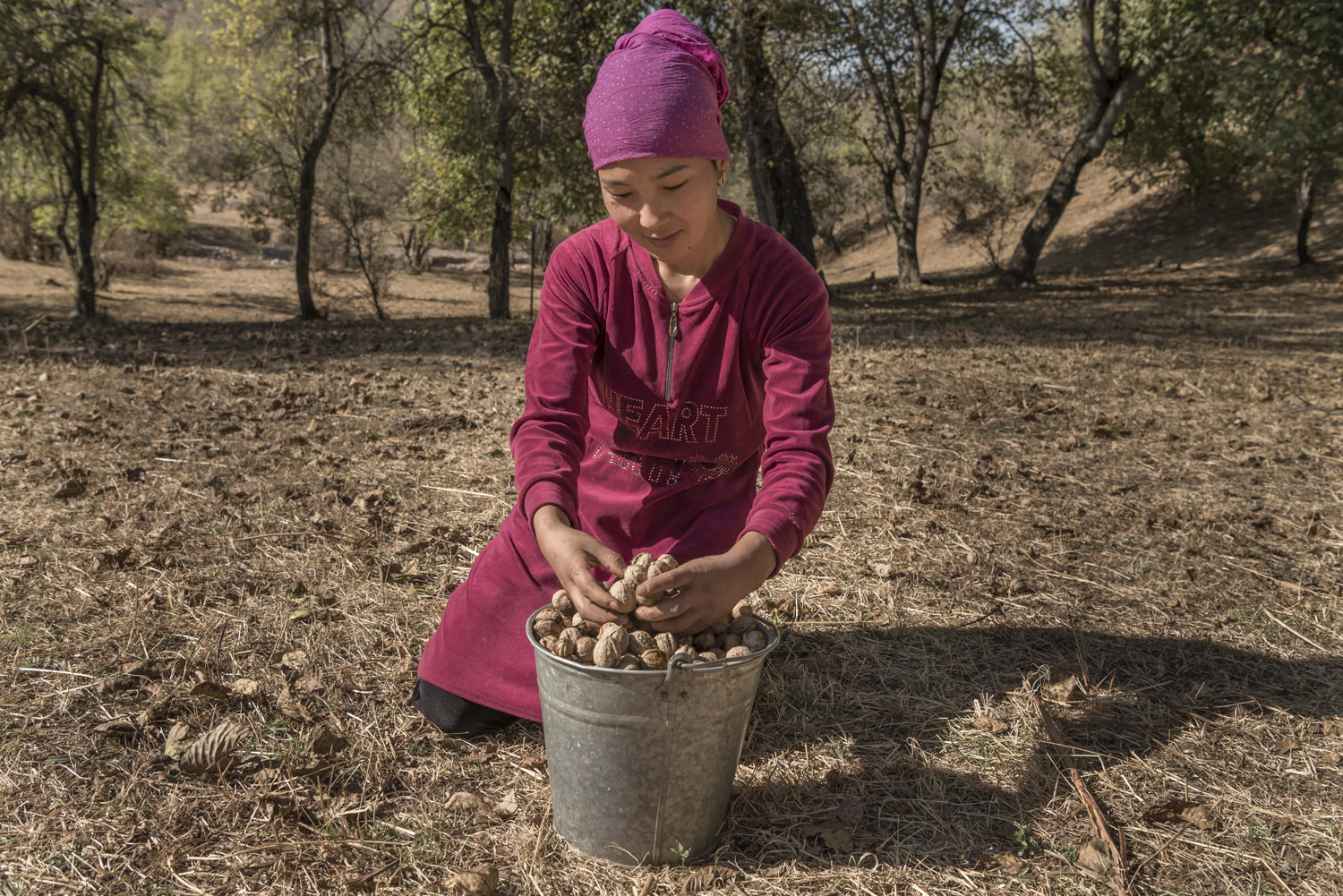 walnuts-picking-kyrgyzstan-child-arslanbob-soviet-union-russia-picking-walnuts.jpg