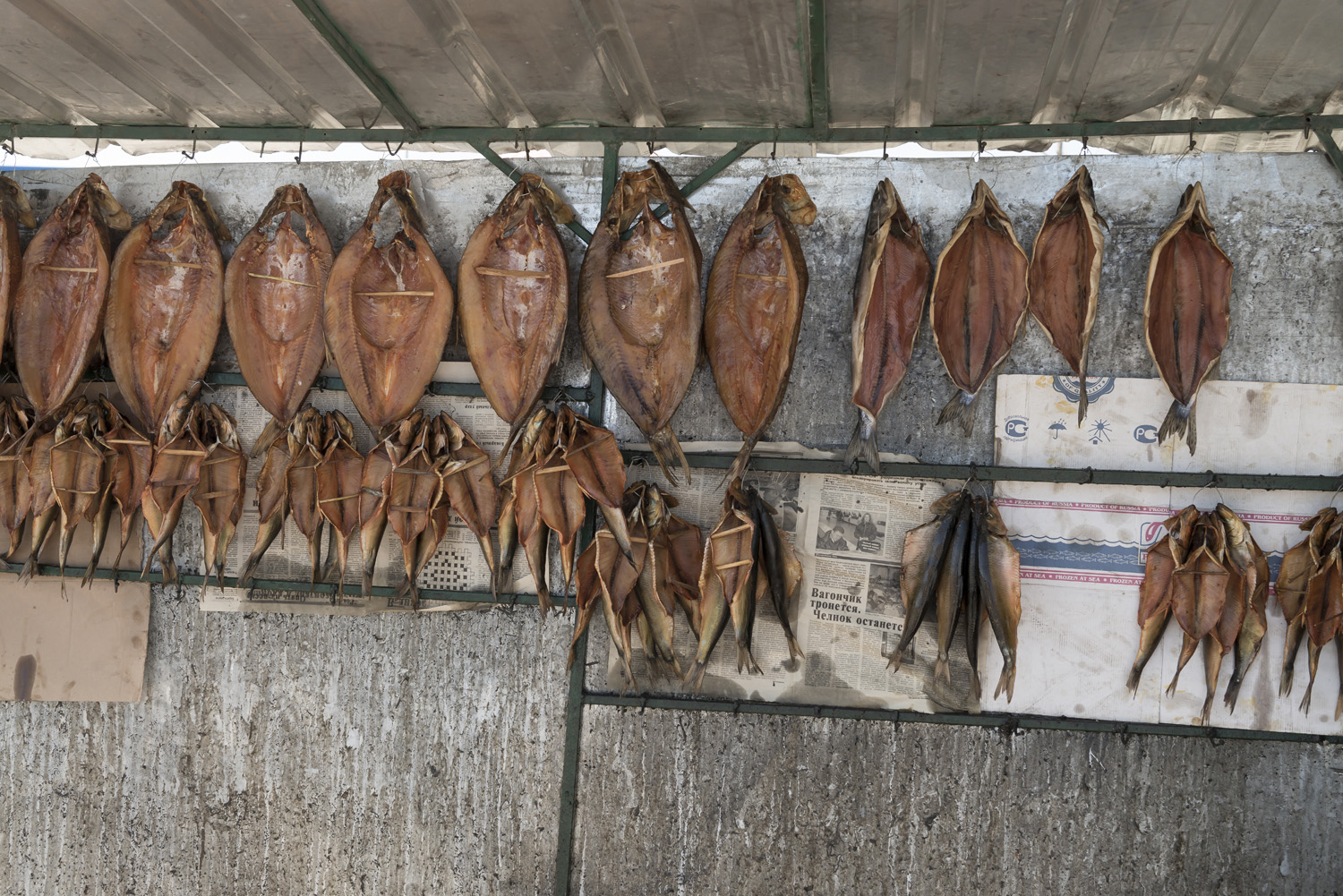 dried-fish-kyrgyzstan.jpg