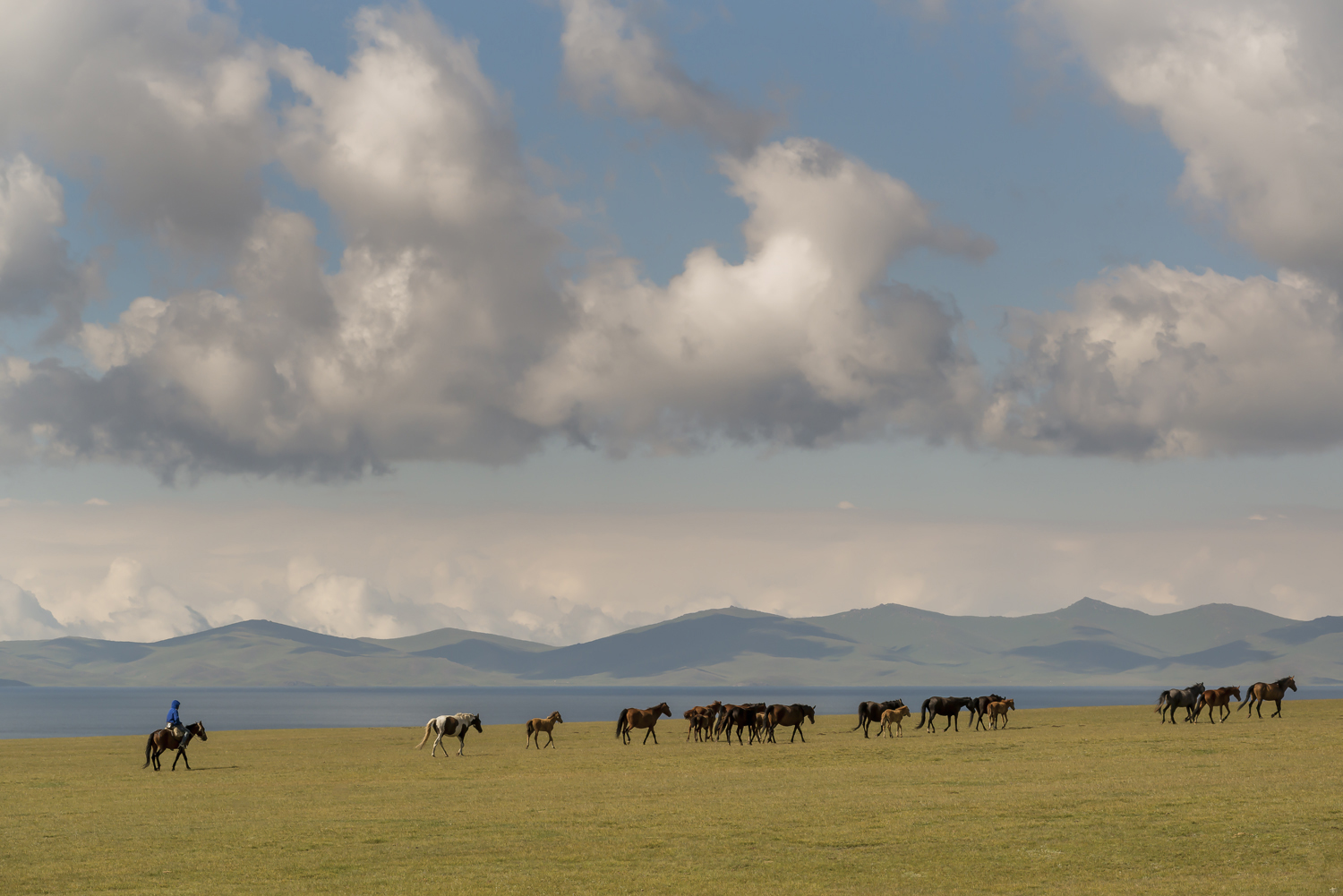 kyrgyzstan-nomads-lake-song-kul-jo-kearney-video-photography-soviet-herding-horses.jpg