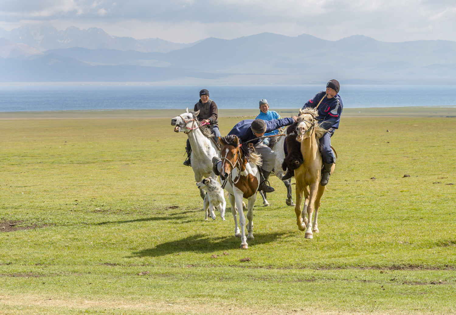 buzkashi-polo-sheep-jo-kearney-video-photography-2.jpg