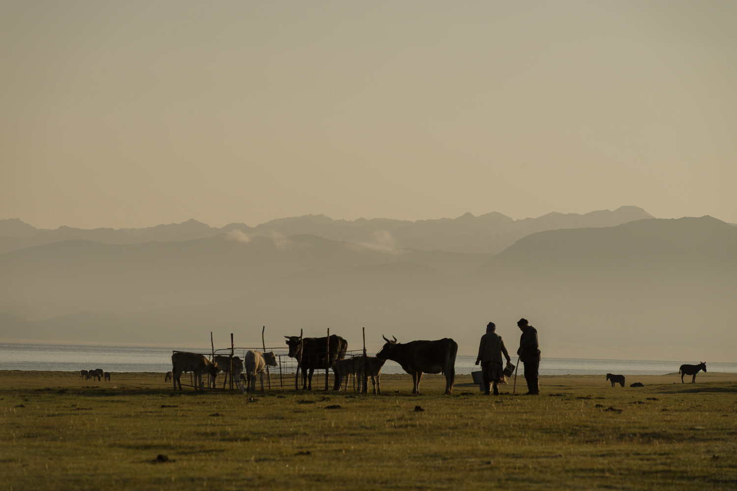 kyrgyzstan-nomads-lake-song-kul-jo-kearney-video-photography-soviet-milking-silhouette.jpg