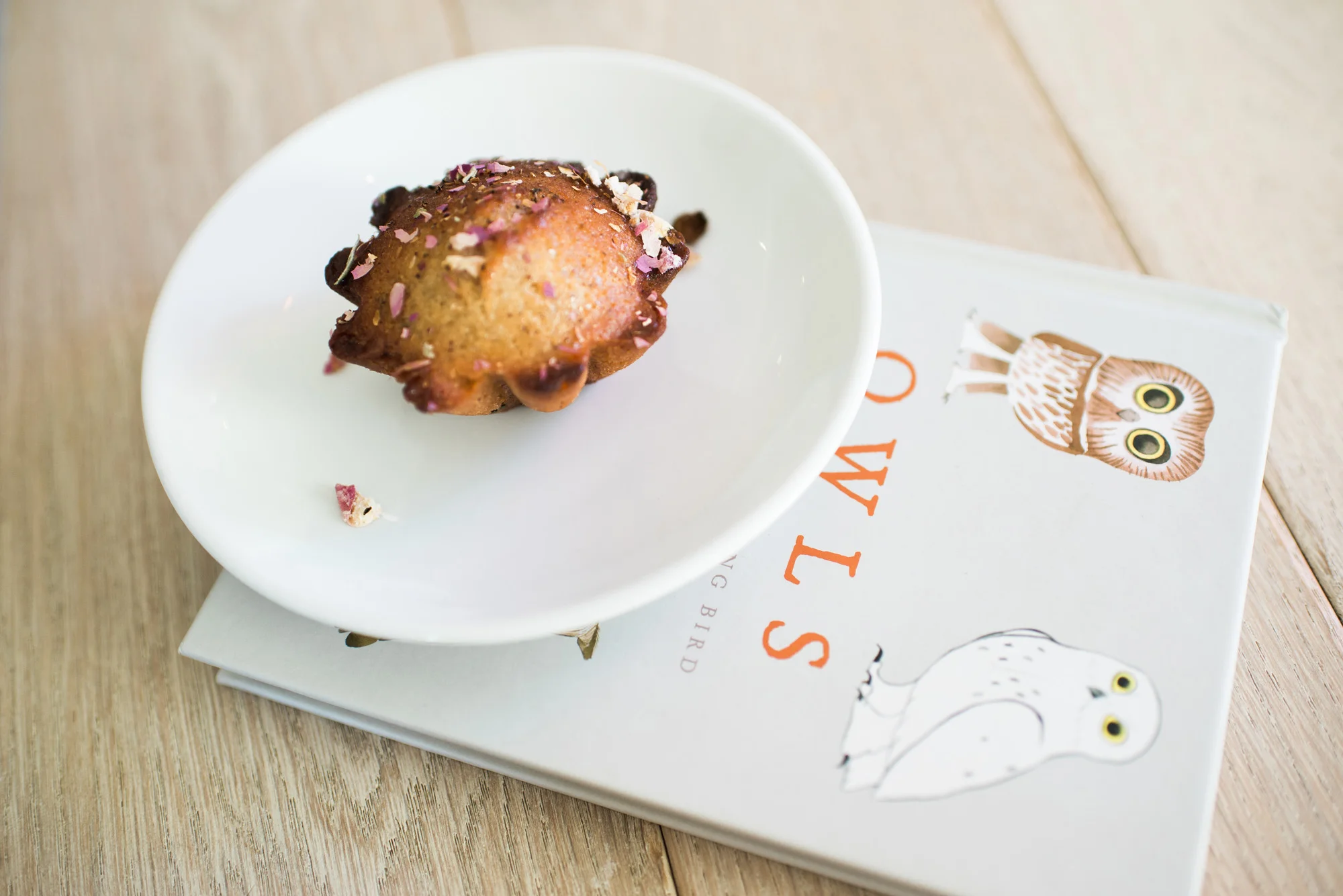Sarah Hooker Photography | West Asheville Instameet Owl Bakery