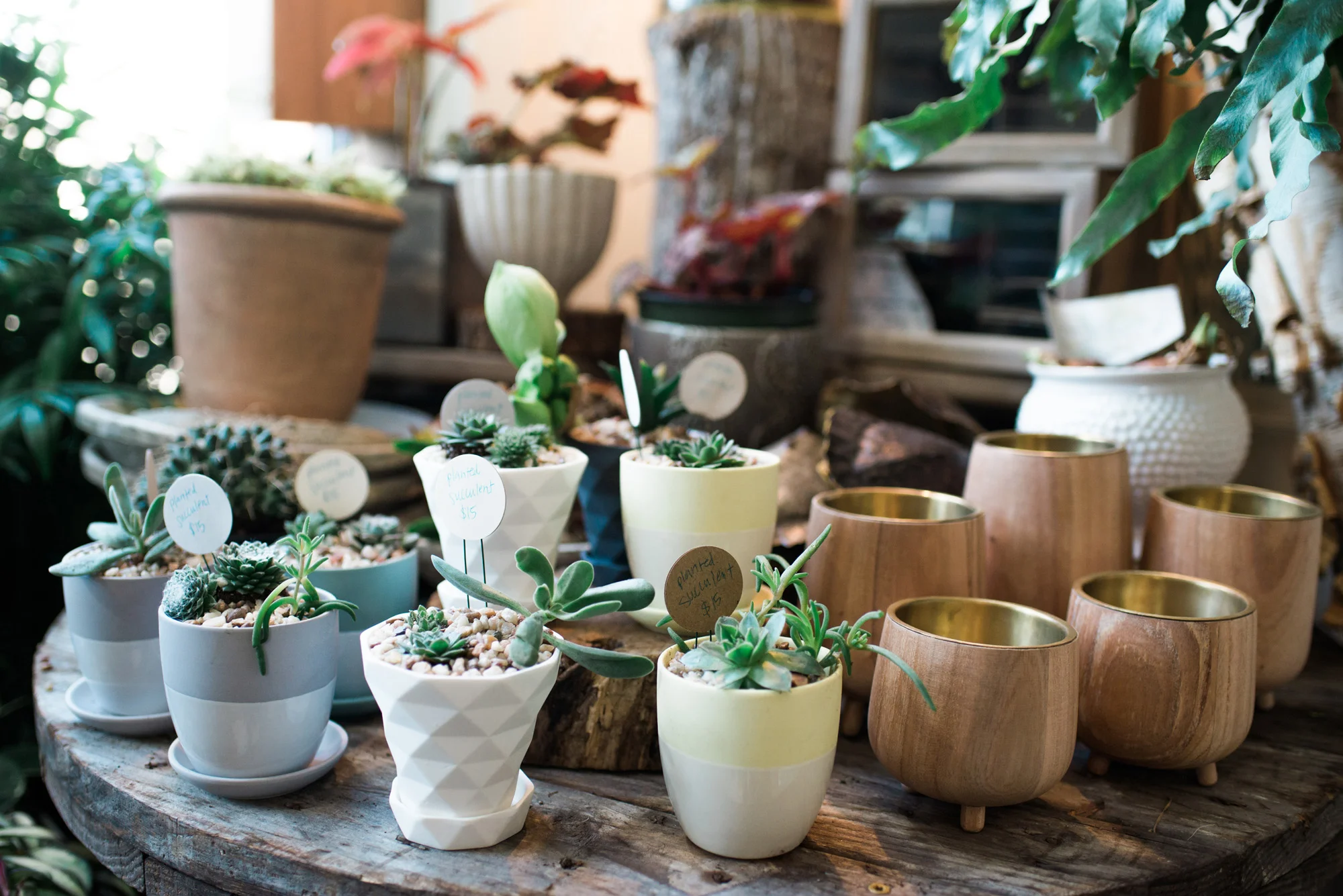 Sarah Hooker Photography | West Asheville Instameet Flora