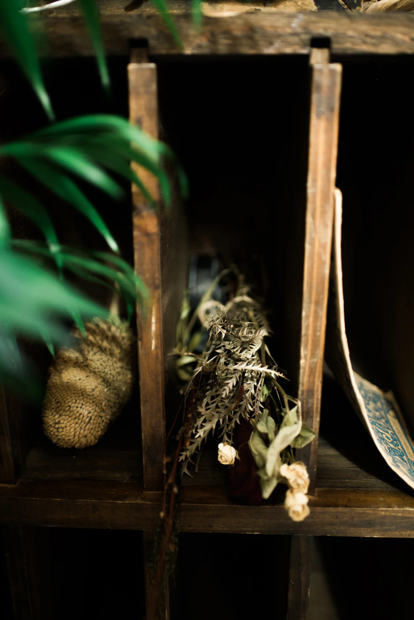 Sarah Hooker Photography | West Asheville Instameet Flora