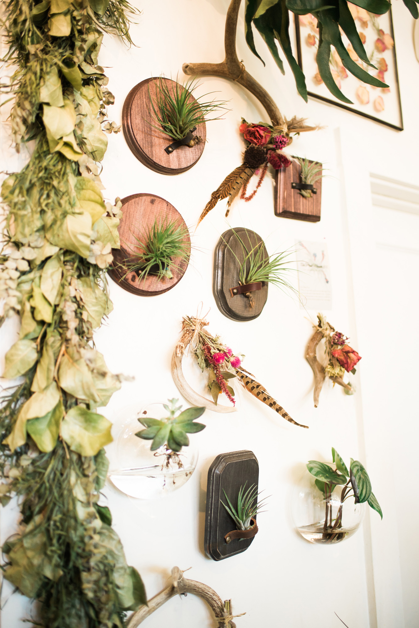 Sarah Hooker Photography | West Asheville Instameet Flora