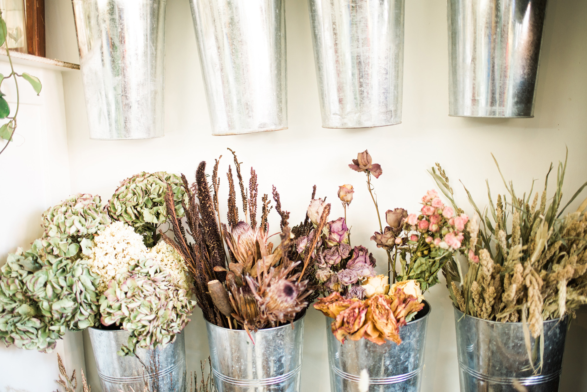 Sarah Hooker Photography | West Asheville Instameet Flora