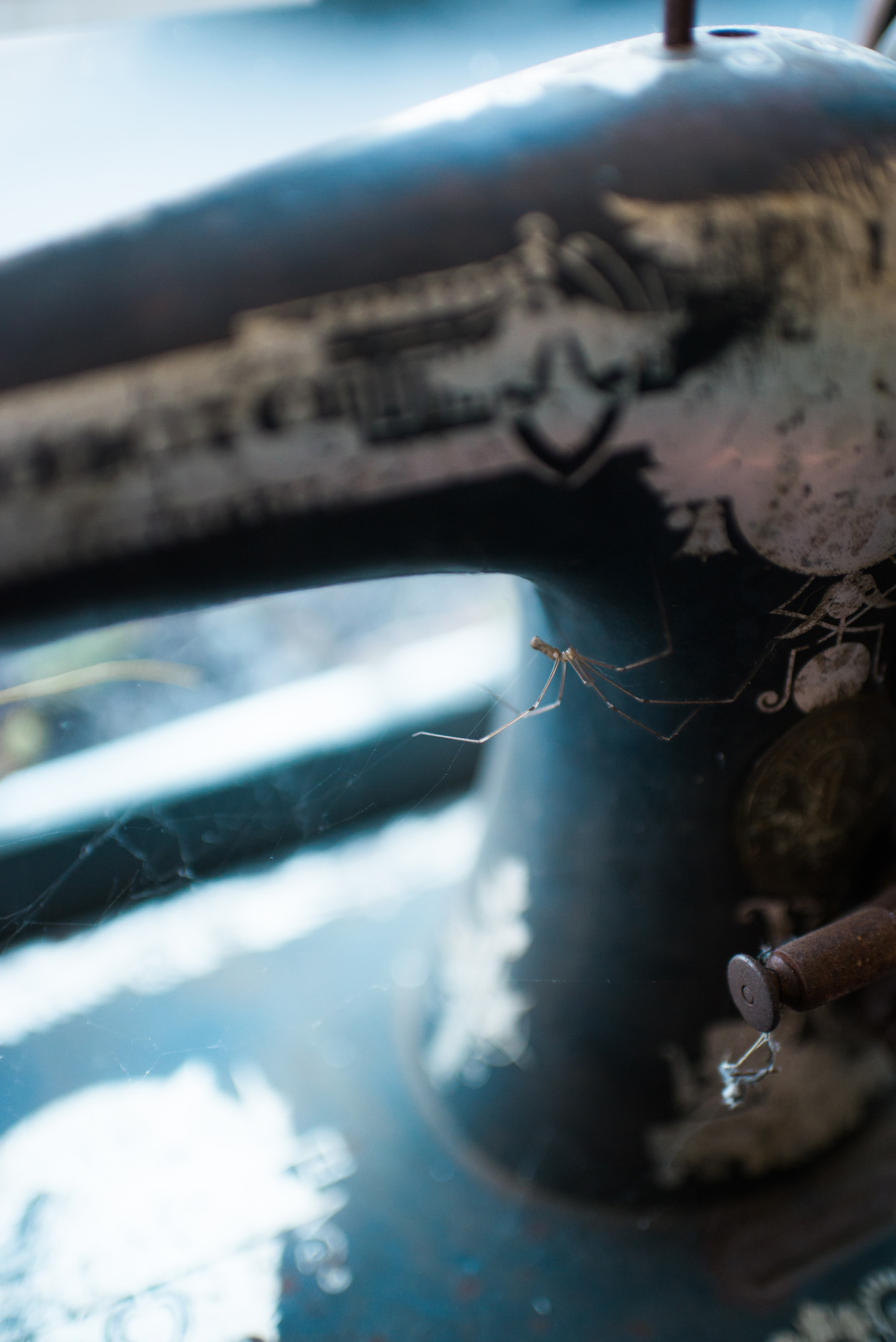 Sarah Hooker Photography | West Asheville Instameet at The Drygoods Shop