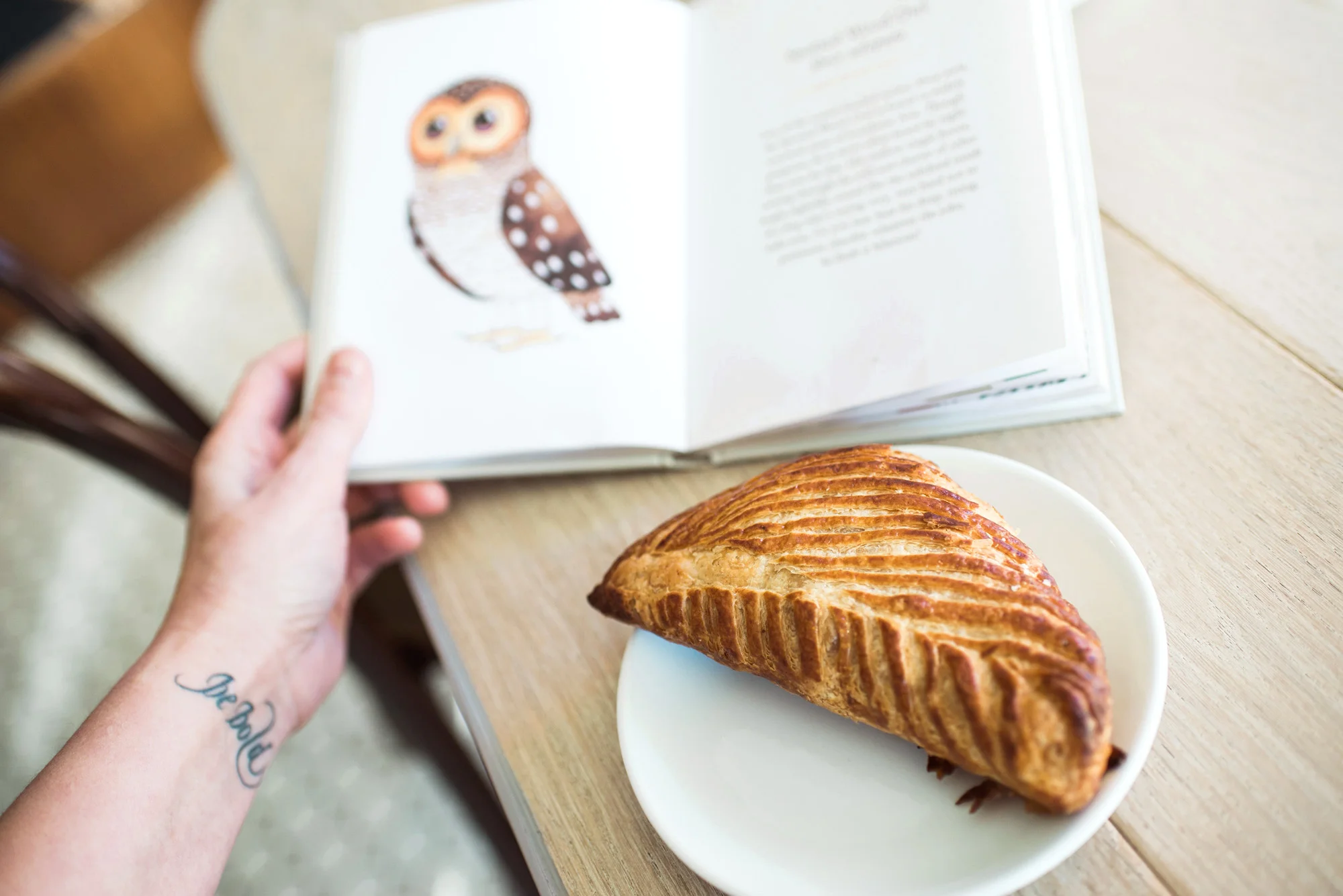 Sarah Hooker Photography | West Asheville Instameet Owl Bakery