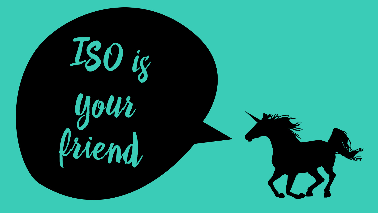 ISO is Your Friend | A Tutorial by Sarah Hooker Photography