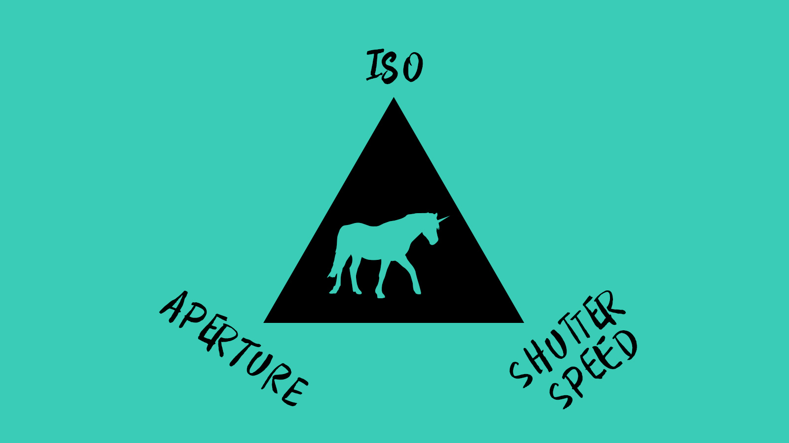 ISO is Your Friend | A Tutorial by Sarah Hooker Photography