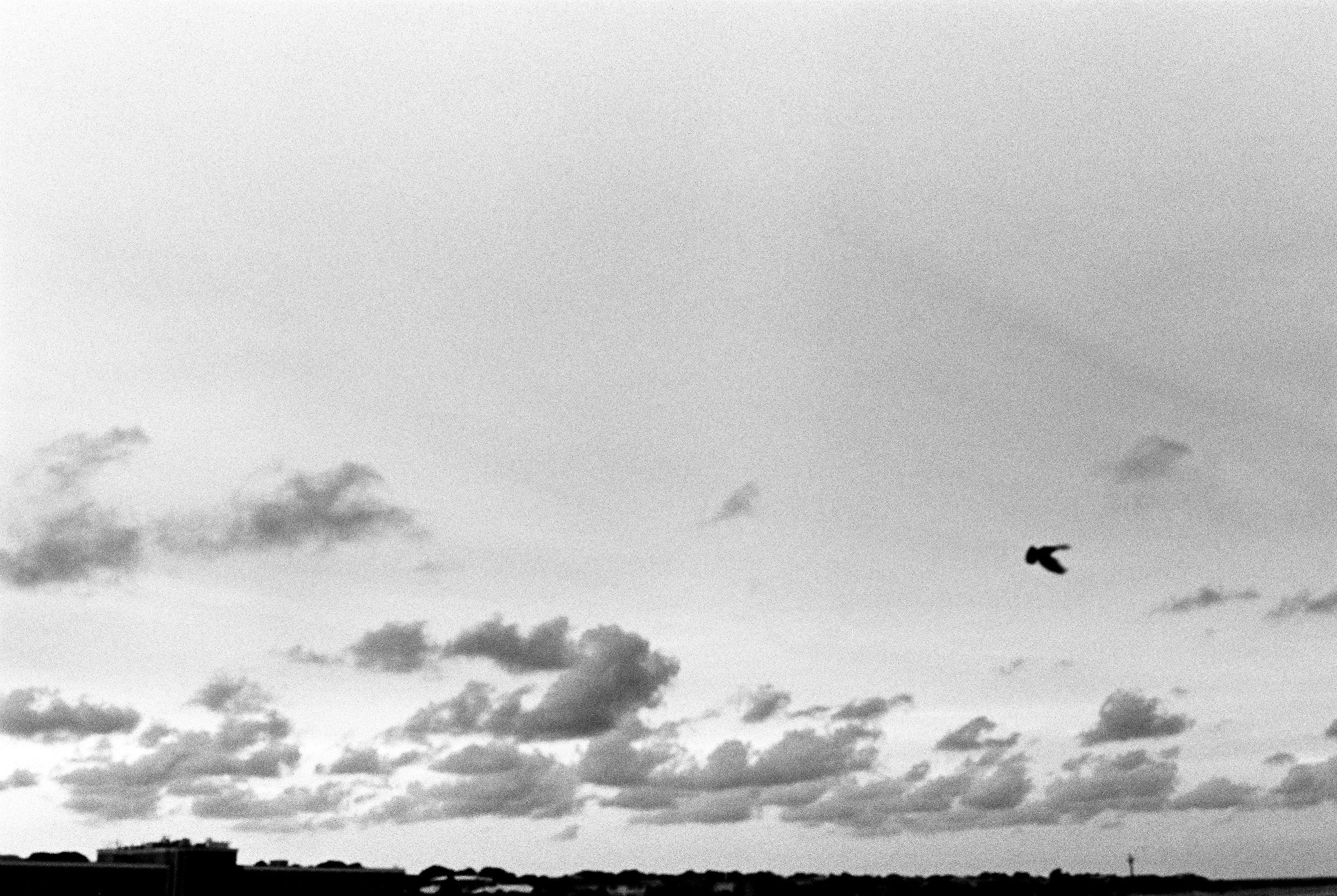 Film Grain | ISO is Your Friend | A Tutorial by Sarah Hooker Photography