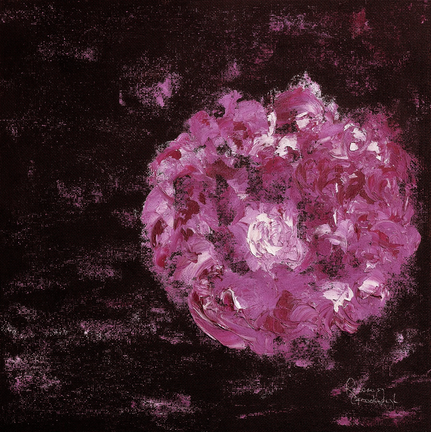 'A Gorgeous Flower'.jpg
