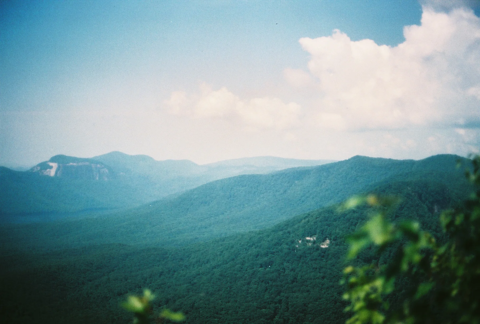 A139886_005.jpg