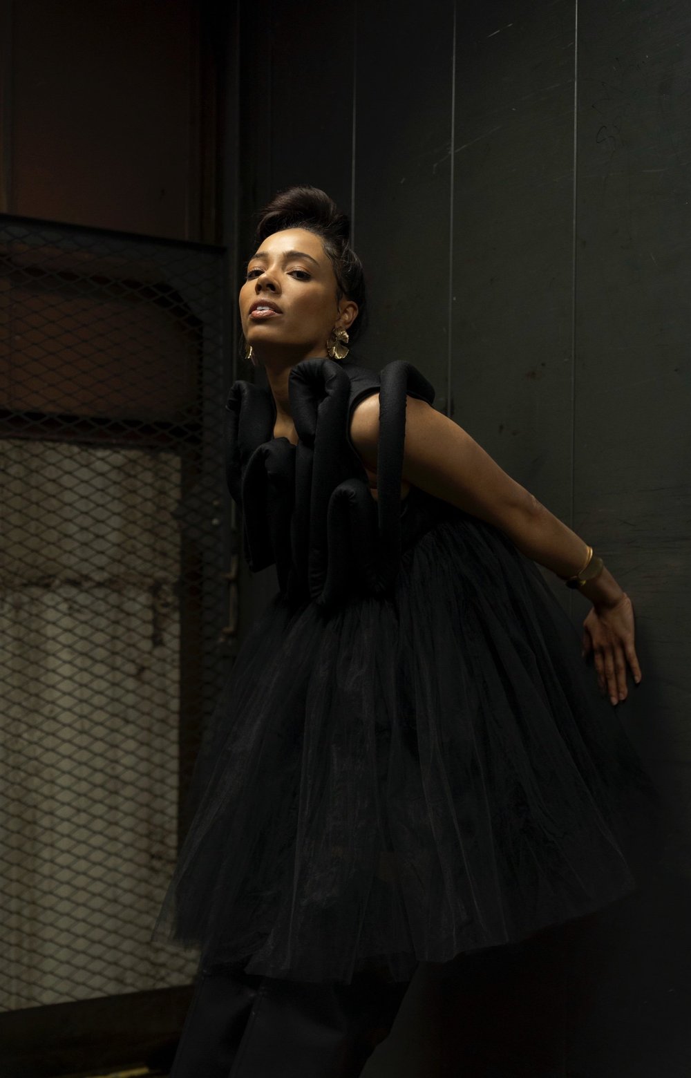 center stage tulle dress alex carter center stage tulle dress alex carter
