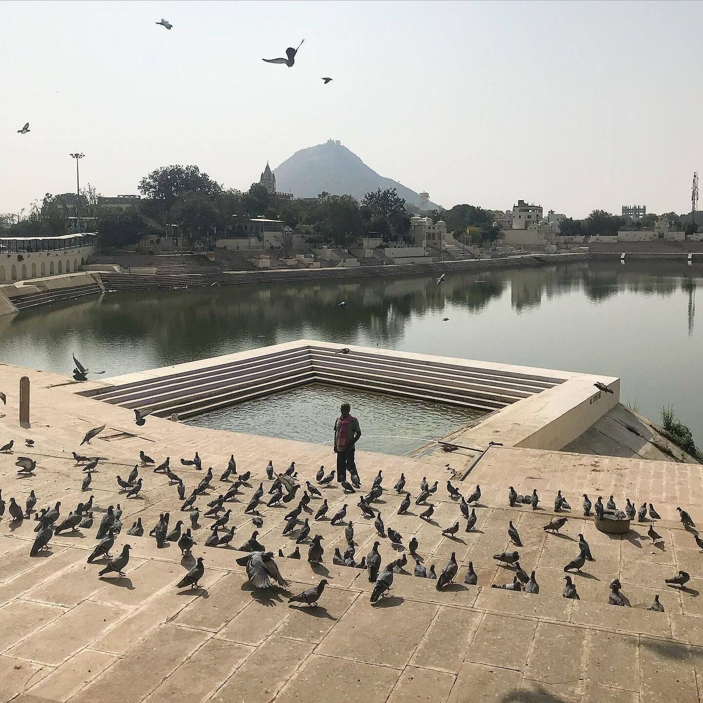 Pushkar, India 2018
