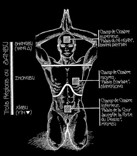 3 Dan Tiens Developing An Impenetrable Imperturbable Core Yoga