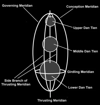 une représentation simplifiée de la colonne vertébrale en anatomie subtile chinoise. Elle peut être utilisée pour visualiser les 3 Dan Tiens ainsi que le circuit de l'orbite microcosmique (article à venir)...