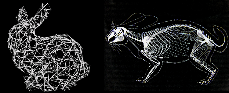 Free form tensegrity outlining the form of a rabbit, by Tomohiro Tachi. This type of study is an application of Tom Myers approach to understanding the interplay of fascia and bone in vertebrates, developed at the Rolf institute during the 90s and inspired by Ida Rolf's repeated assertion that "it's all connected through the fascia".