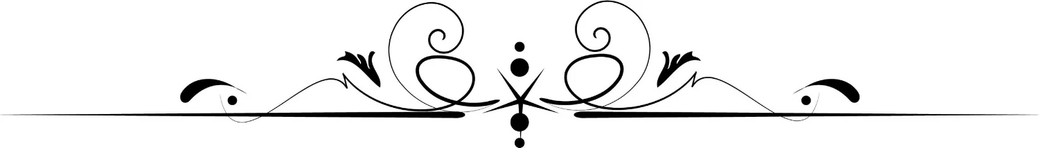 divider copy.jpg
