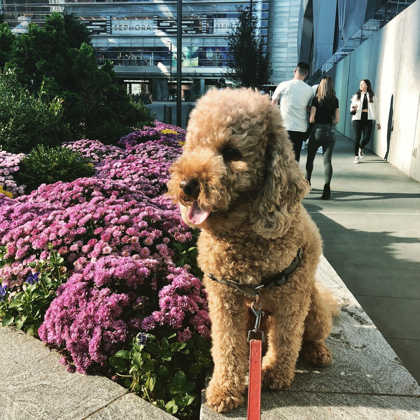 Here comes the ☀️