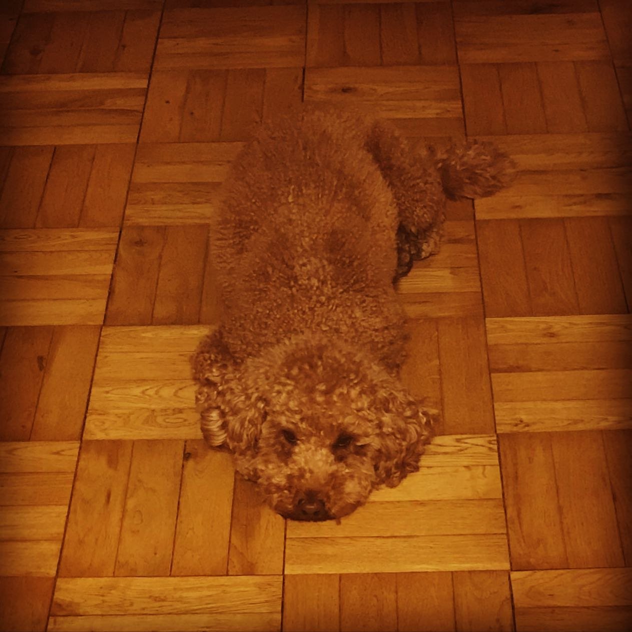 Schweepy Sunday vibe💤