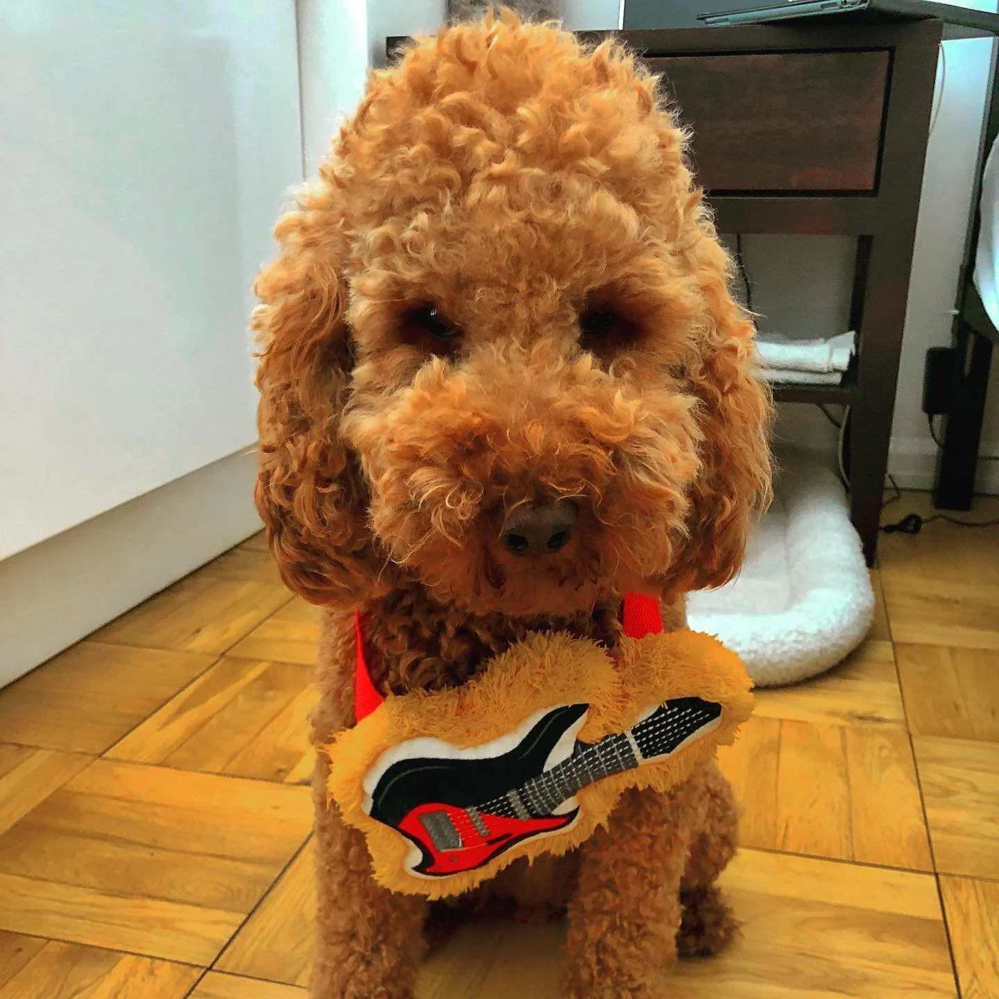 Rockin&rsquo; out 🎸🎶