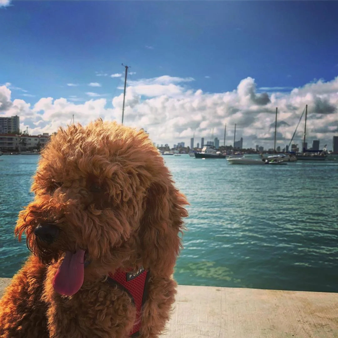 ⛵️👅☀️
#morefuninthesun