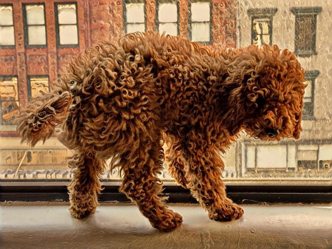 ➰♨️➰
#doodle #flowstate